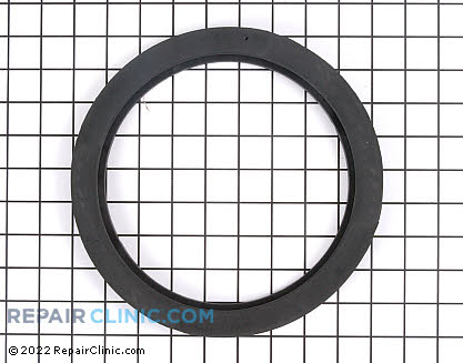 Pump Gasket 5300809586 Alternate Product View