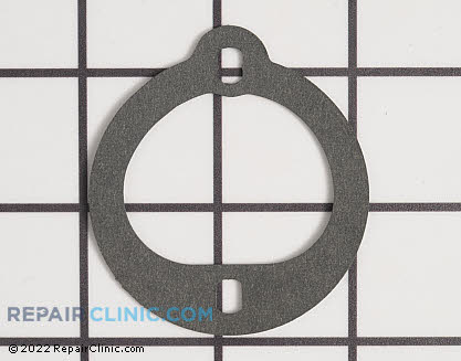 Gasket 613181 Alternate Product View
