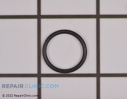 O-Ring 1652221SM Alternate Product View