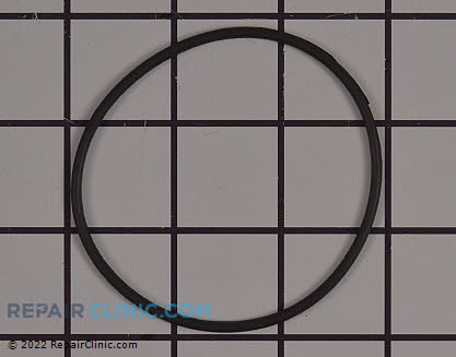O-Ring 545232601 Alternate Product View