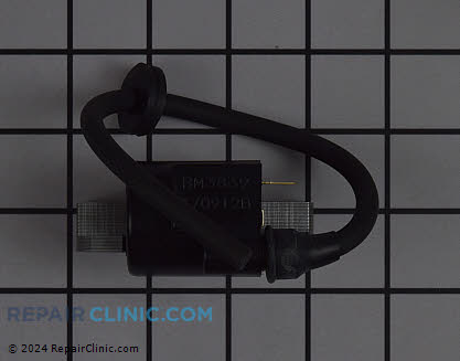 Ignition Coil 246-78211-01 Alternate Product View